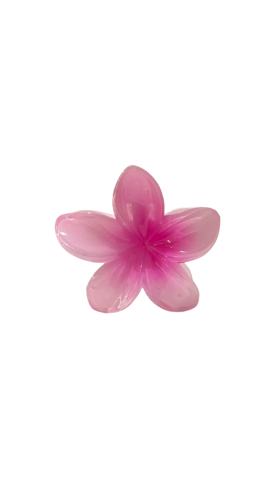 Pinces cheveux FLEURS