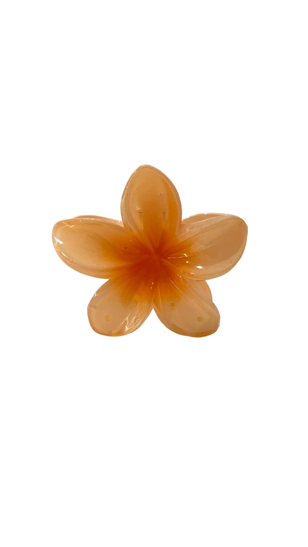 Pinces cheveux FLEURS